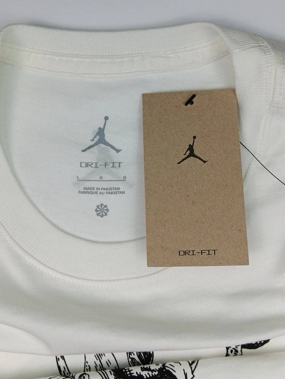 Jordan champions shorts